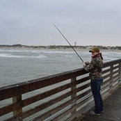 Wanda Wright's photo