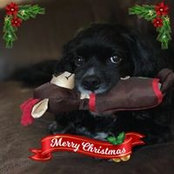 Terri Odum's photo