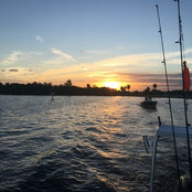 Jeremy Banning's photo