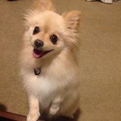 Marlene Saucedo's photo