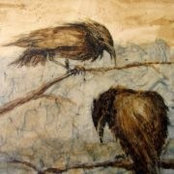 Jennifer Toler's photo