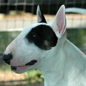 Jeanne Fendley Clark's photo
