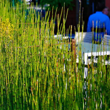 Planting Material
