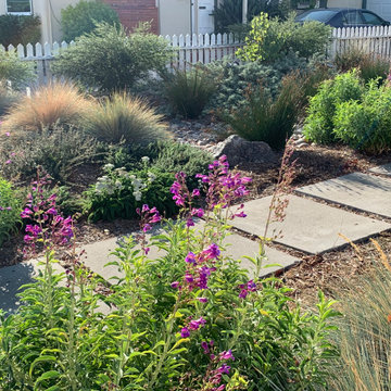 California Native Garden and Bioswale