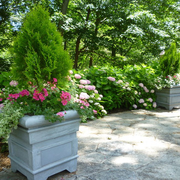 Spring and Summer Container Design