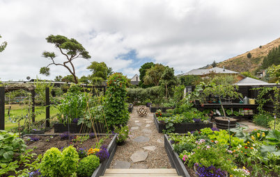 Natural Ways to Get Rid of Weeds in Your Garden