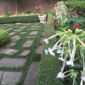 boxwood hedge