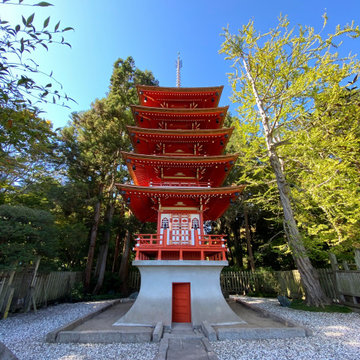 SF Japanese Tea Garden Renovation