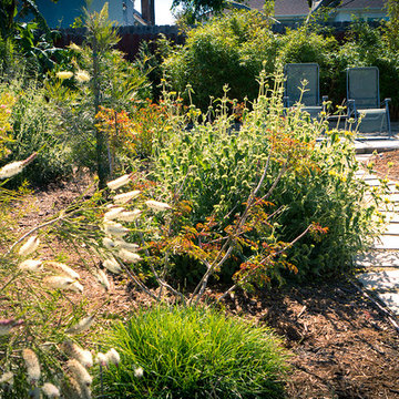 Winding Path to Upper Secluded Space Destination- Back Yard