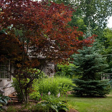 Landscape Ideas