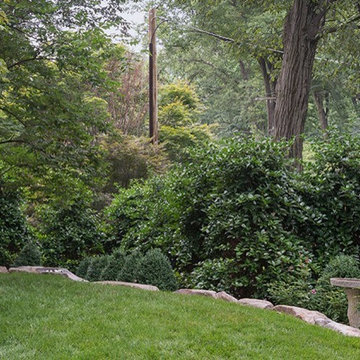 Green privacy screen