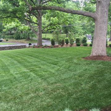 Historic Yard Restoration