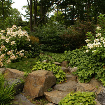 Reclaimed blasted ledge steps