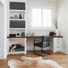 Office - dog Bed Integration
