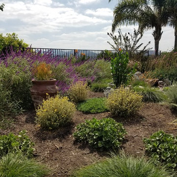 Vista Lawn Removal