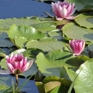 Conseils en déco Feng Shui