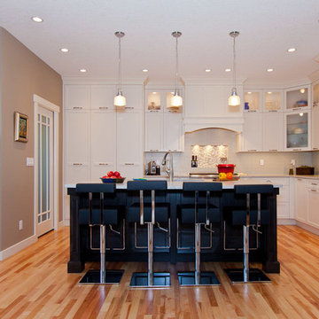 Contemporary Kitchen & Main Floor Renovation