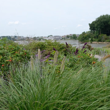Modern Oceanfront Landscape - Cohasset