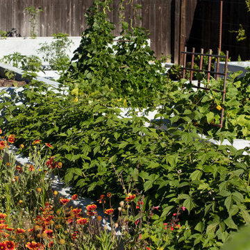 The Escher-Stella Garden