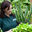 Green Connection, Inc.