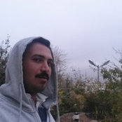 Amin Shakiba's photo