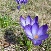Nikki Nicholson's photo