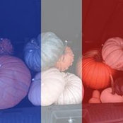 Diane Ringhofer Gammonley's photo