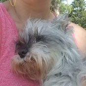 Kim Wilgus's photo