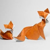 Grégory Boucaud's photo