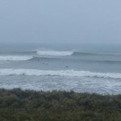 David Burns's photo