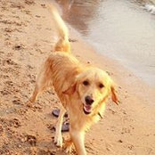 Jan Swanson's photo