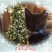 Sharon Babb's photo