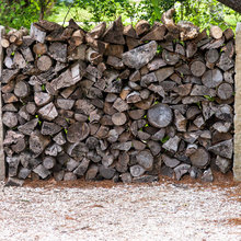 Driveway/Side Of The House