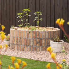 Lauren - Circular veggie beds