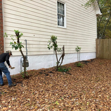 Landscape and Outdoor Property Improvement