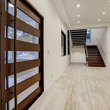 Contemporary Doors