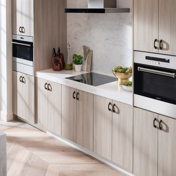 Contemporary Kitchen with Metropolis Door in Silver Elm