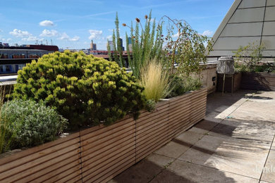 Große, Unbedeckte Moderne Dachterrasse im Dach mit Kübelpflanzen in Berlin