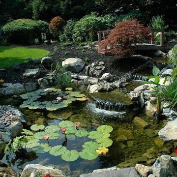 Healthy Pond Eco-Systems (Long Island/NY):