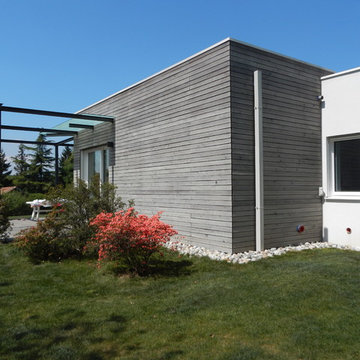 Casa S+D
