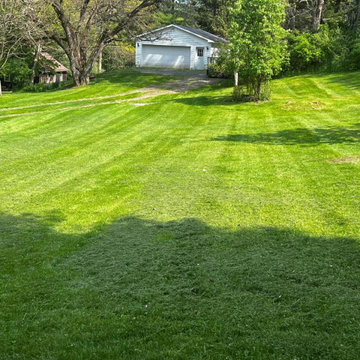 Professional Lawn Care & Mulch Installation