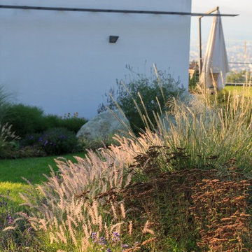 Un giardino collinare in stile Dutch Wave