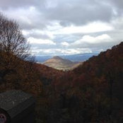 Maggie Ward's photo