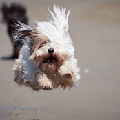 Liz McKenzie's photo