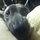 webuser_43205