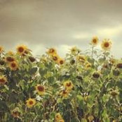 Brianna Corrigan's photo