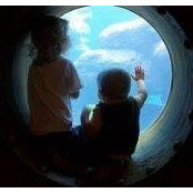 Ross Sinclair's photo