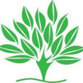 Foto de perfil de IGMA Paisajismo