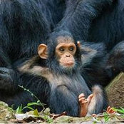 Sara Gabbar's photo
