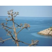 Heather Spackman's photo
